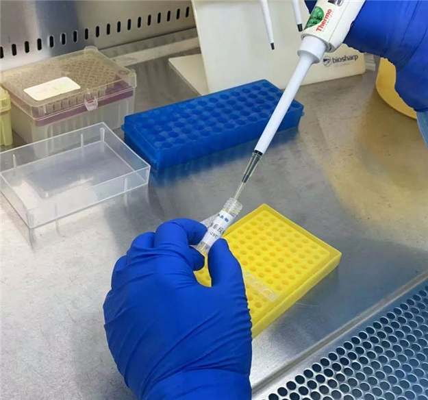 ��ʱ|AG(AsiaGaming)������Ӫ��