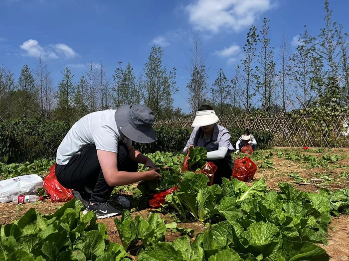 ��ʱ|AG(AsiaGaming)������Ӫ��