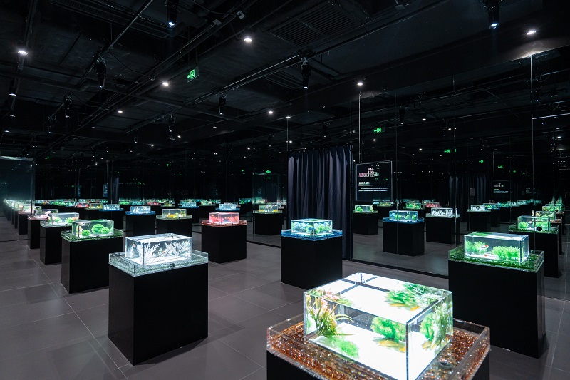 ��ʱ|AG(AsiaGaming)������Ӫ��