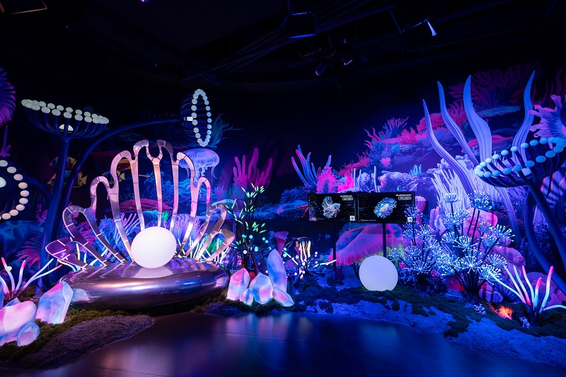 ��ʱ|AG(AsiaGaming)������Ӫ��